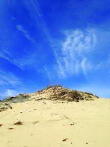 photo (1)
