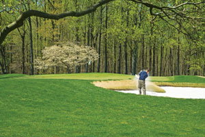 Golfer in a bunker at Deerfield, which is surrounded by the beauty of White Clay Creek Park. (Photo provided by Deerfield)
