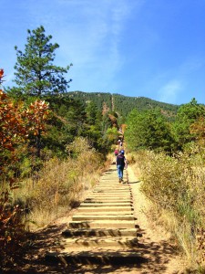 incline
