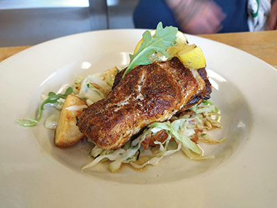 Blackened blue catfish from NorthEast Seafood Kitchen in Ocean View, one of nine restaurants owned by Rehoboth Beach-based SoDel Concepts. All nine feature the fish, which is threatening the ecosystem in the Chesapeake Bay. Photo Pam George